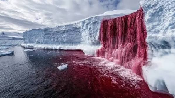 weird nature